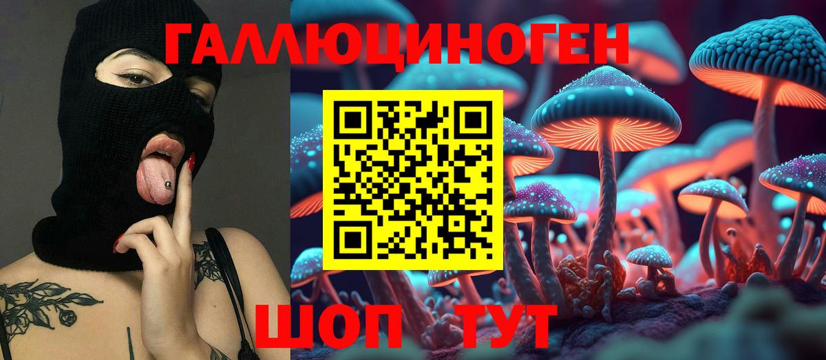 Псилоцибиновые грибы прущие грибы  Вход с VPN  Тула 
